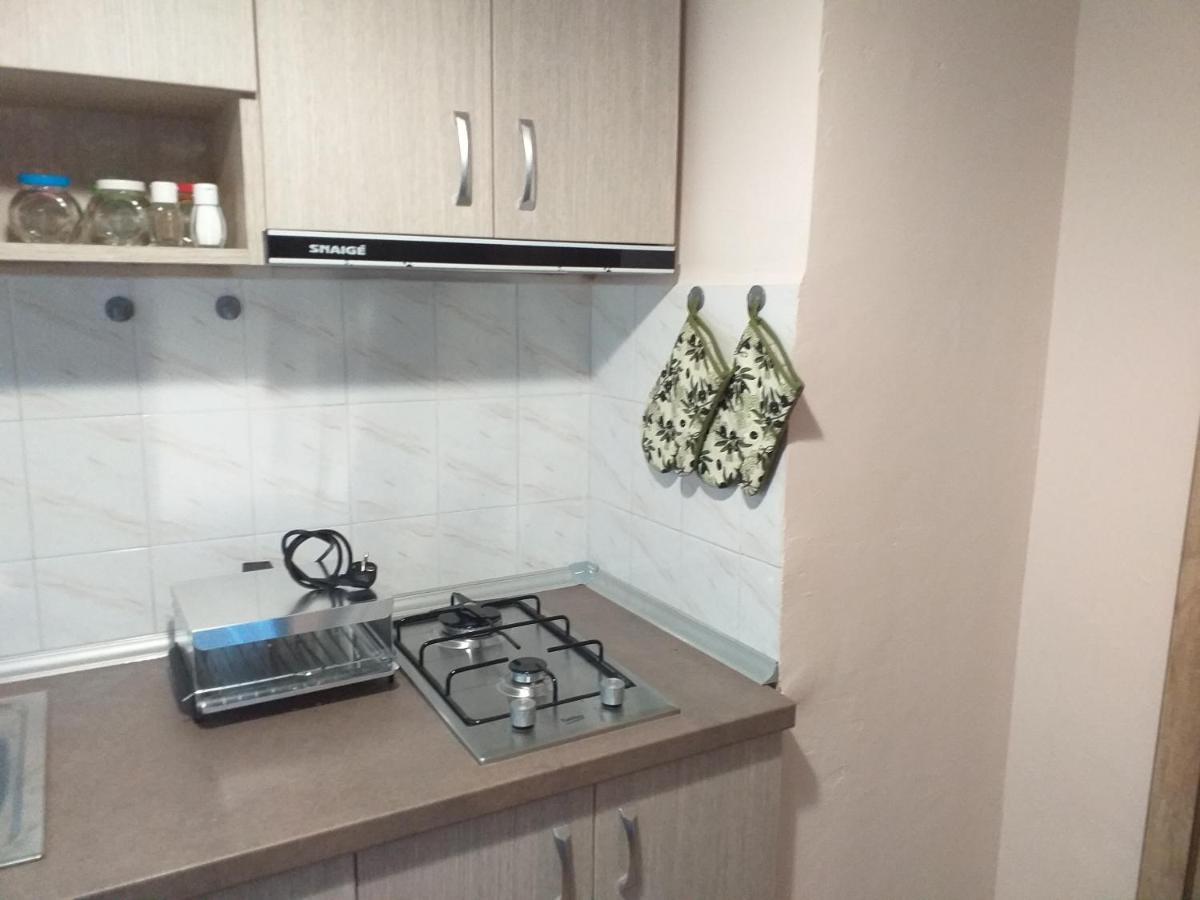 Apartment термите